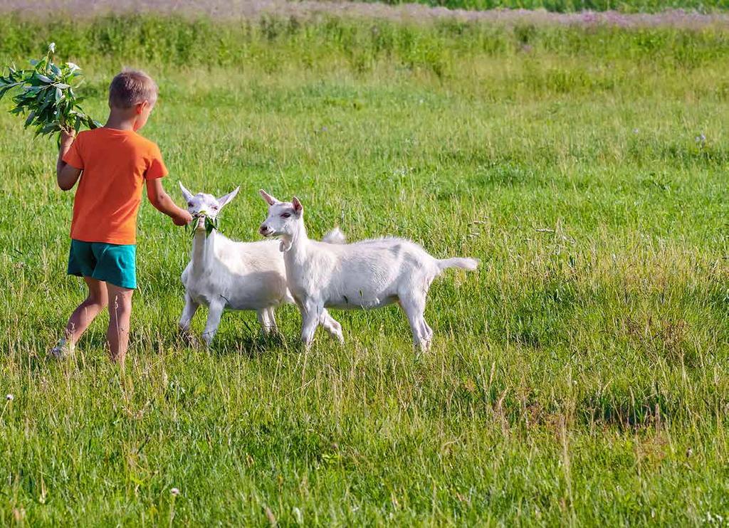 2014 1) OBILOVINY OBSAHUJÍCÍ LEPEK a výrobky z nich 1a-pšenice, 1b-žito, 1c-ječmen,