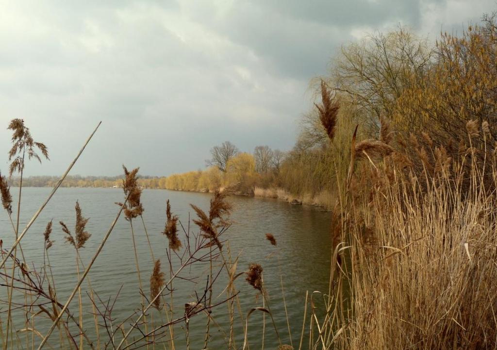 Ten je největším rybníkem v CHKO Poodří a každoročně na podzim zde probíhá výlov.