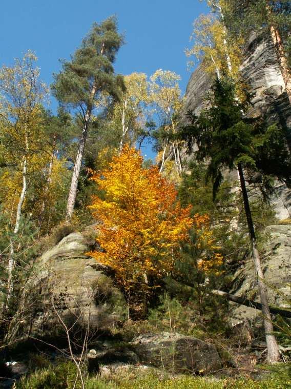 TEPLICE NAD METUJÍ PODZIM 2012 PODZIMNÍ FOTOŠKOLA 2 Letošní podzimní výjezd do Teplic nad Metují se zcela neplánovaně konal o dva týdny dříve, než je obvyklé.