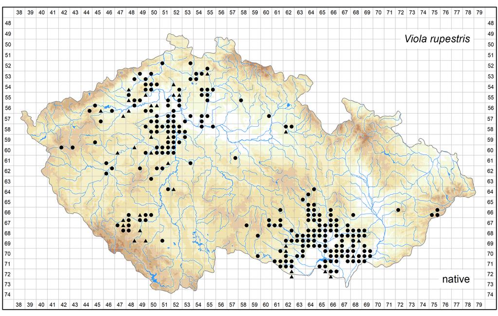 Distribution of Viola rupestris in the Czech Republic Author of the map: Jiří Danihelka, Jan Kirschner Map produced on: 12-06-2018 Database records used for producing the distribution map of Viola