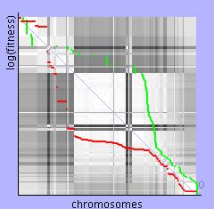 Pro popsání diverzity populace je definována vzdálenost mezi dvěma chromosomy.