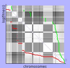 generace jsou v populaci již jen dva různé chromosomy.