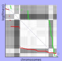 Druhý slabší chromosom je silnějším chromosomem nakonec vytlačen. Obrázek 8.10: Vývoj diverzity populace s použitím metody Niching Na obrázku 8.