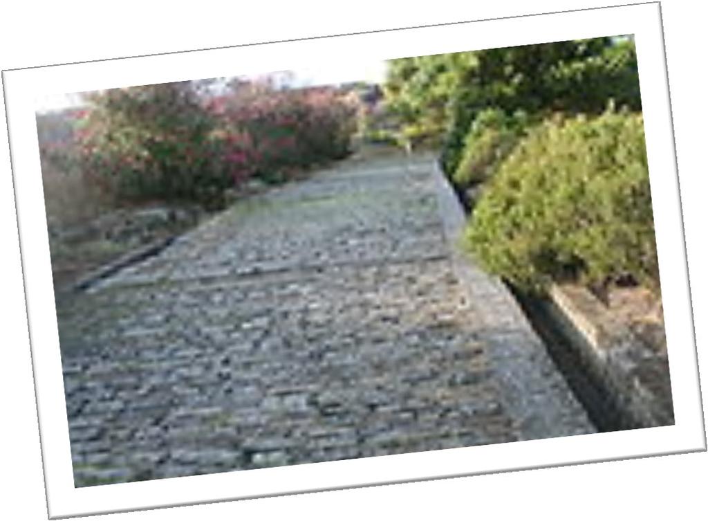 Silnice a cesty, asi 400 př. n. l. Příklad: Porta Rosa (4. 3. st. př. n. l. ) Hlavní silnice v Eleji (Itálie).