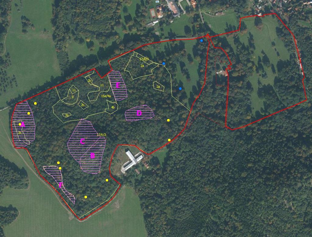 Příloha II mapa D: Vyznačení zásahů (šrafované plochy), obsazené stromy, kde budou realizovány zásahy