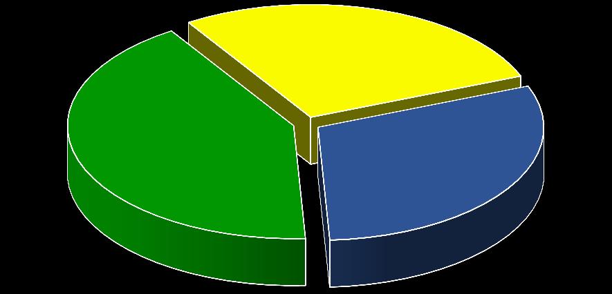 28,1% 41,7% 30,1% ano,vždy občas ne Používání kondomu Kondom vždy používá 42 % (41 %) mládeže, 30 %