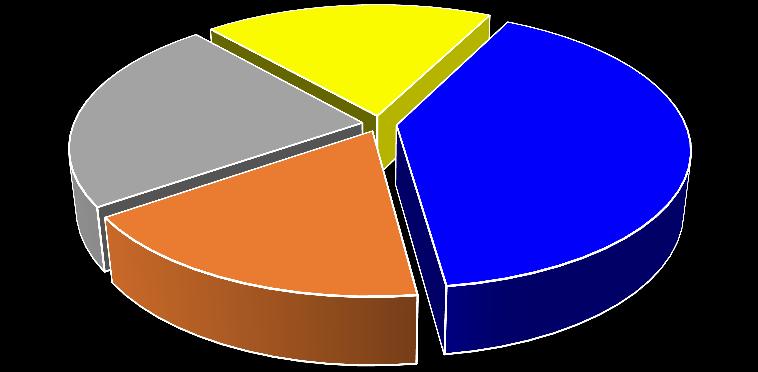 chlapci dívky 45,1% 25,3% 29,6% 23,2% 17,4% 19,0%