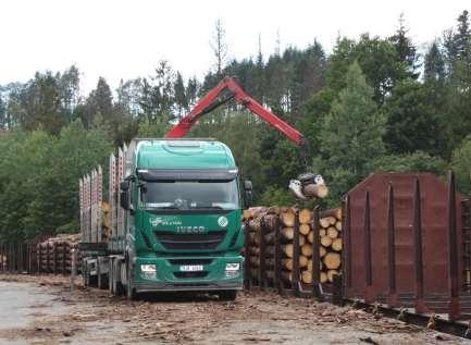 na smrkové lesy v současnosti velmi intenzivní těžby dřeva