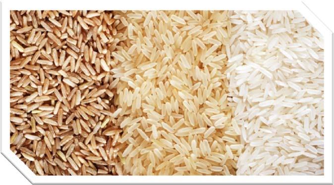 2018 GM rýže nové produkty na trhu legálně i