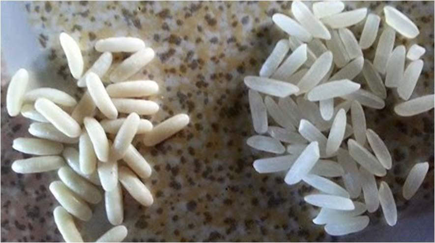 Rýže a bezpečnost potravin Falšování rýže?