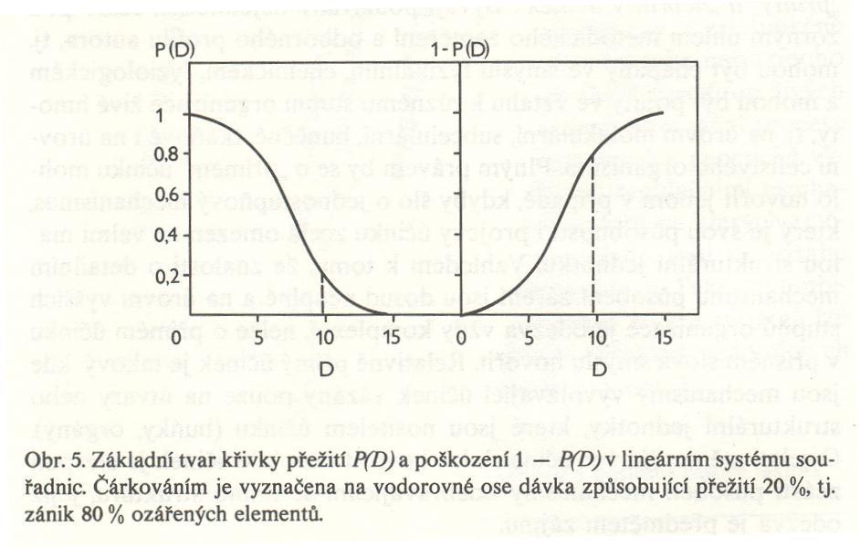 Křivky