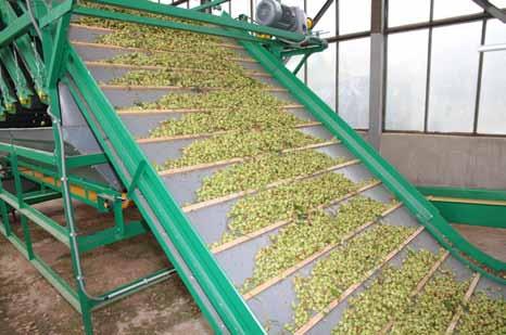 Sběrný dopravník dopravující produkt na překulovače Dopravní cesty
