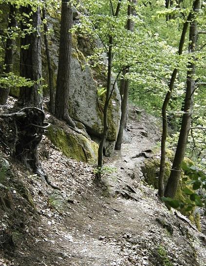 Za obcí Strážek řeka vstoupí do hlubokého údolí a přes Újezd u Tišnova pokračuje do Dolních Louček, kde se stéká s Libochovkou. [4] hrad Mitrov Hrad byl vybudován v 80. letech 13.