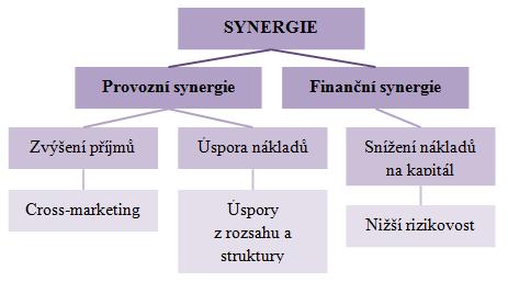 Finanční synergie 52 Finanční synergie spočívá v předpokladu nižších nákladů na kapitál a nižšího rizika.