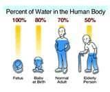 Tělesná voda Kojenci 85%