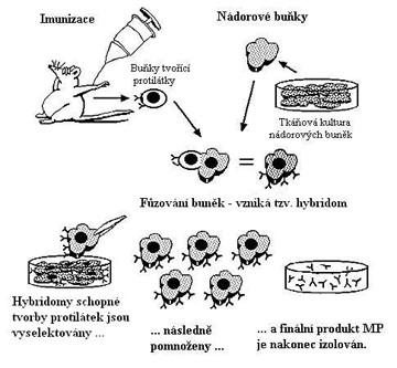 Výroba