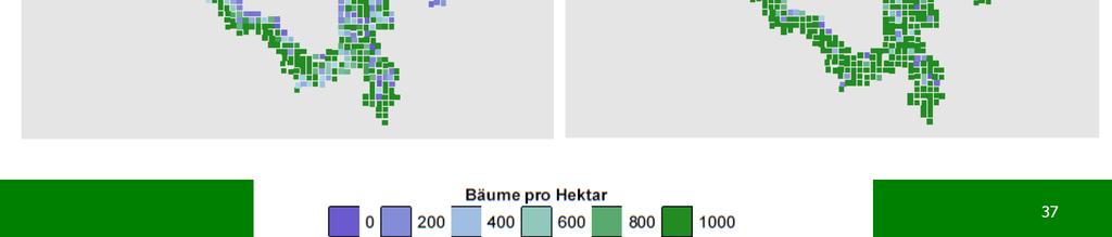 Přirozené zmlazení v bezzásahových oblastech NP Bavorský les. Nahoře: postupně ztmavující se zelená barva indikuje rok pozorování, čísla nahoře počty živých rostoucích semenáčků na 1 ha.
