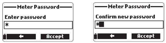 Pro zapnutí ochrany heslem: Označte Meter Password (heslo přístroje) a stiskněte Modify (změnit). Zadejte požadované heslo do textového pole a stiskněte Accept.