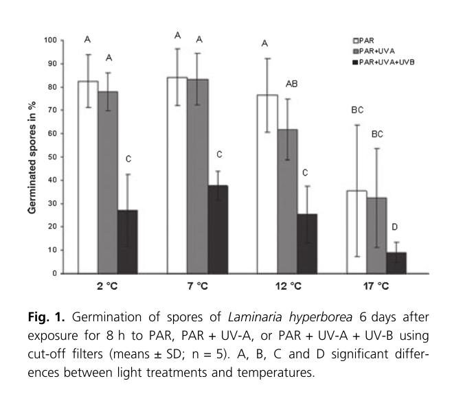 Laminaria