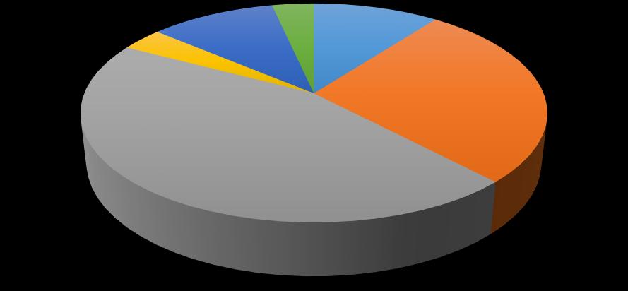 V uplynulém roce sociální službu ukončilo celkem 29 uživatelů.