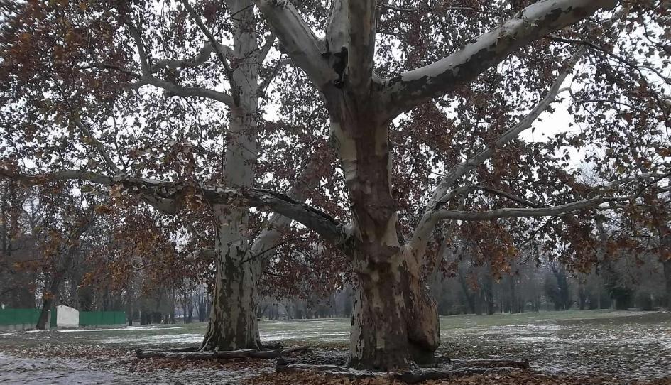 Fotografia je na prvej strane tohto čísla.