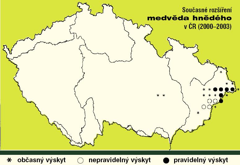 V Javorníkách byl medvěd poprvé spatřen pod Makytou u hranic se Slovenskem v roce 1973 (PAVELKA et al., 2001). Od 70. let se medvědi v CHKO Beskydy vyskytovali každoročně. Obr.