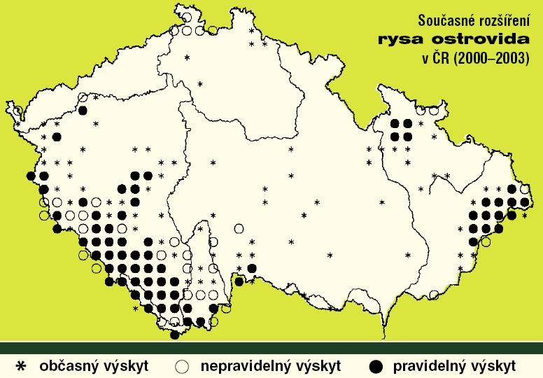 Obr. 2: Rozšíření rysa ostrovida v ČR (převzato z: ČERVENÝ et al, 2006) 3.2.2. Rozšíření a stav populace v Javorníkách Rys se začal do Javorníků vracet od 50. let 20.