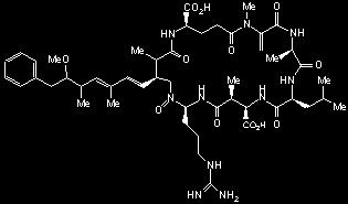 Toxiny sinic a řas microcystiny a nodulariny Peptidické hepatotoxiny sinic 28 různých microcystinů - monocyklické heptapeptidy tvořené D a L aminokyselinami Microcystin LR nejčastěji studovaný a