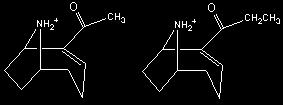 Toxiny sinic a řas - anatoxiny níkomolekulární neurotoxické alkaloidy porvé popsané u Anabaena flos-aquae z Kanady, dnes Oscillatoria, Microcystis, Aphan. Evropa, S.