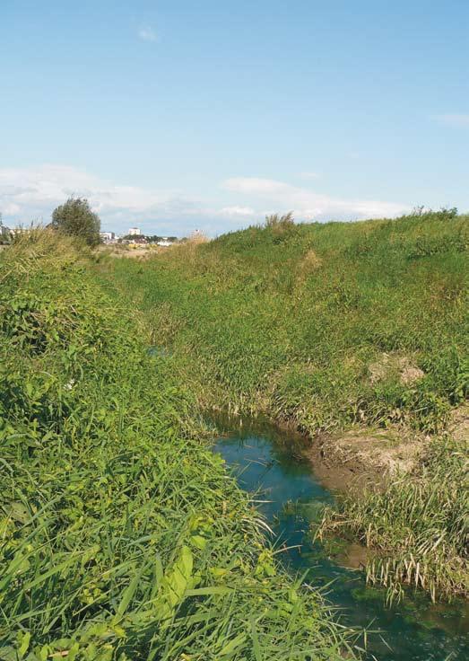 Kateřinský potok Potok pramení v polích mezi Kateřinkami a Chlebičovem, protéká přes Hoštické louky a vlévá se do Opavy u Malých Hoštic.Téměř po celou délku toku je uvězněn v betonovém korytě.