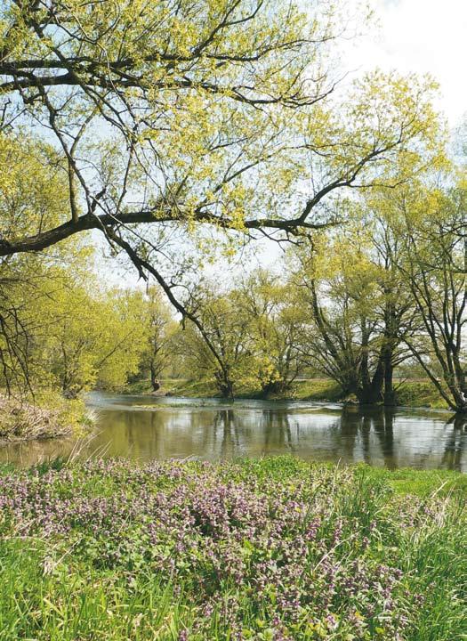 Řeka Opava Koryto řeky Opavy je tvořeno četnými meandry, peřejemi, štěrkovými terasami a ostrůvky.