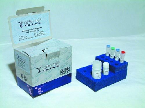 PCR kit pro diagnostiku