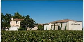 Château Haut-Bages-Liberal Chateau Haut-Bages-Liberal je malé vinařství, které má 28 hektarů vinic osázených odrůdami Cabernet Sauvignon (80%), Merlot (17%) a Petit Verdot (3%).