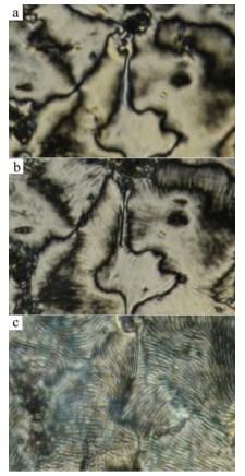 Výzkum: Studium kapalných krystalů Vědecký článek našich autorů: All-organic Liquid Crystalline Radicals with a Spin Unit on the uter Position of a Bent-core System