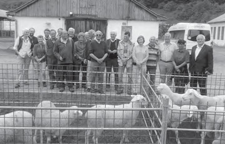 Z ČINNOSTI ZVÄZU Vyhodnotenie nákupného trhu na plemenné barany v Trenčianskej Teplej Ing. Július Šutý, ZCHOK na Slovensku družstvo Dňa 13.5.