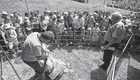 Ovenálie 2015 Amfiteáter vo Východnej bol 15. júna dejiskom už VII. ročníka Celoslovenských ovčiarskych slávností OVENÁLIE 2015. Organizátorom bol Zväz chovateľov oviec a kôz na Slovensku-družstvo.