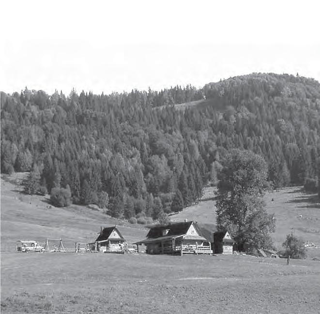 NAPÍSALI STE NÁM Muránska planina kraj zbojníkov a koní Máloktorý vzťah má také silné puto ako puto človeka a koňa. O tom by vedeli rozprávať viacerí koníčkári.