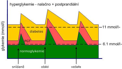 retinopatie diabetická nefropatie