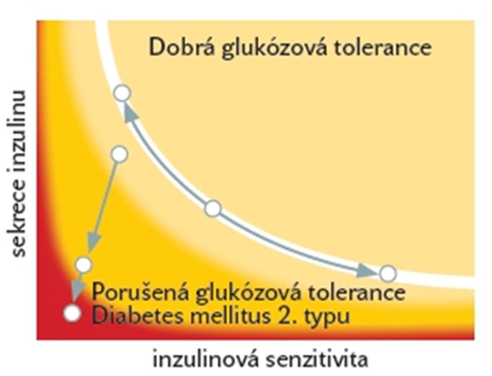 clamp počítané indexy (na zákl. vztahu glykemie a inzulinemie nalačno nebo při ogtt) např.