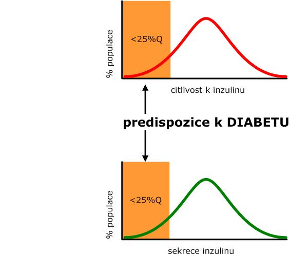pokud by bylo možné rostoucí inzulinovou rezistenci nekonečně kompenzovat rostoucí sekrecí inzulinu, nikdy by nedošlo k vzestupu glykemie ale kapacita kompenzatorně zvyšovat sekreci inzulinu