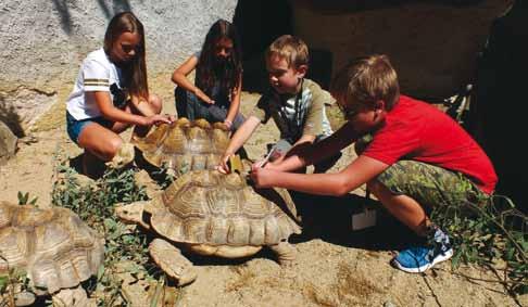 Naše zoopedagožky se také v průběhu roku účastnily několika environmentálních akcí pořádaných jinými organizacemi, například Dnů Země v základních školách nebo Dne bez aut v Českých Budějovicích.