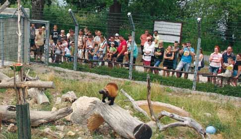 Zookroužek organizujeme ve spolupráci s Domem dětí a mládeže v Českých Budějovicích od roku 2008. Tento zájmový útvar je určen pro děti se zájmem o zvířata, přírodu a činnost zoologických zahrad.
