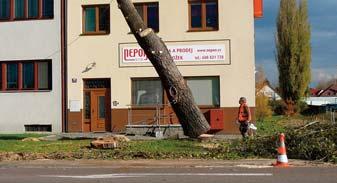 Nerad bych se dočkal stížností, peticí či udání na kácení stromů ve městě. Bez náhradní výsadby úřad tyto akce nepovolí a žádám všechny, aby přistupovali k této citlivé tematice s rozumem a rozvahou.