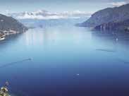 LAGO