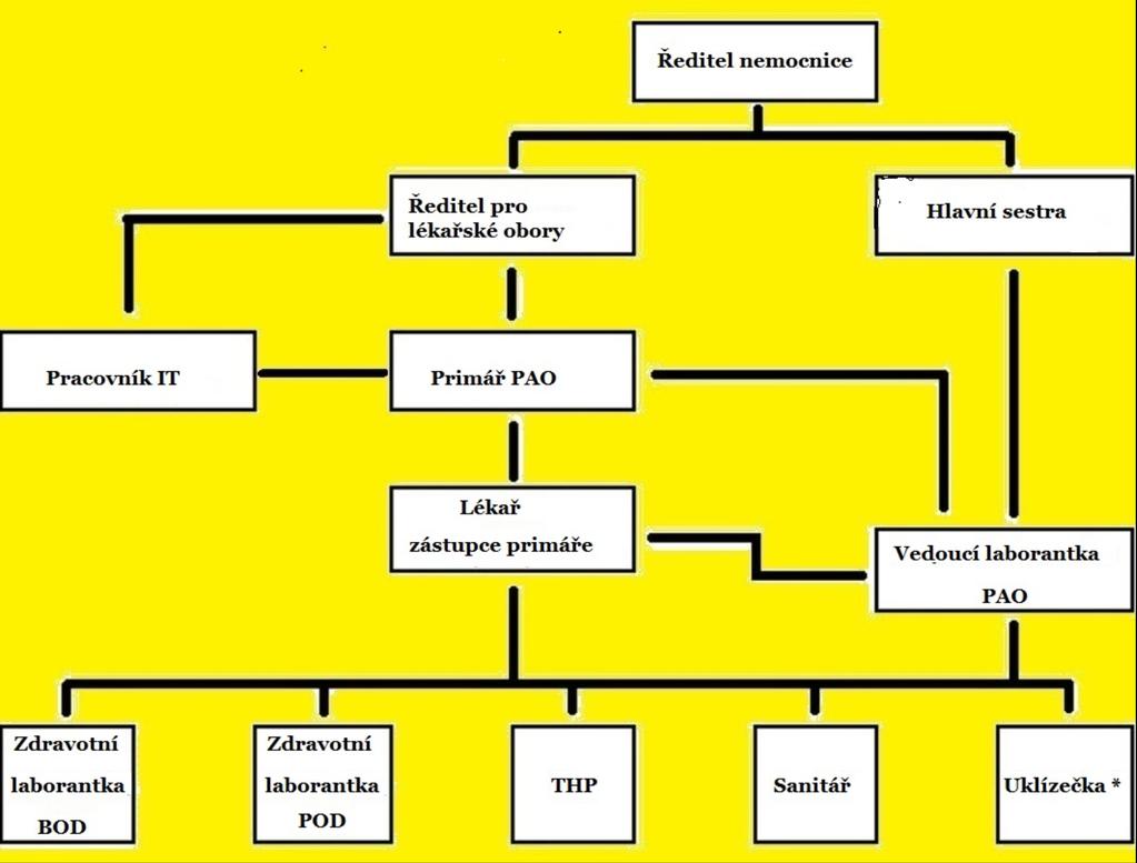 z 21 22.12018 datum tisku 20.12018 2.. Organizační struktura patologicko-anatomického oddělení 2.