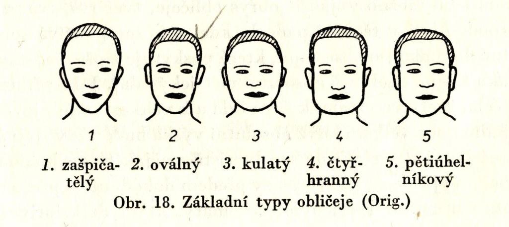 Klenutí temene z profilu: 1. ploché, 2. středně klenuté, 3. velmi klenuté Tvar týlu z profilu: 1. protažený, 2. klenutý, 3. střední, 4. vysoký, 5. velmi vysoký Výška hlavy z profilu: 1.