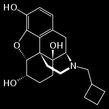 Účinky pentazocinu na centrální nervový systém jsou podobné účinkům morfinu včetně analgezie, sedace a respirační deprese.