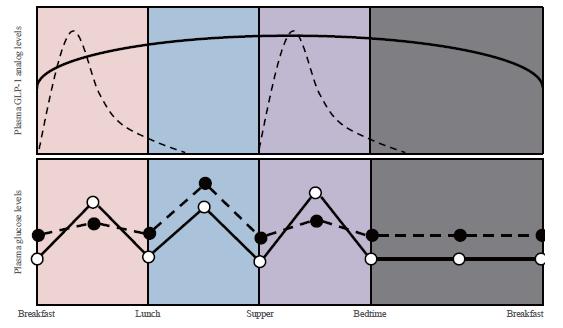 Endocrinol