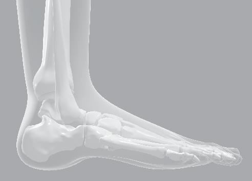 kůže do bezpečnostní obuvi. Kožená stélka skutečně (1), zajišťuje správnou oporu nohy (3), odpuzuje pocení a zabraňuje zápachům díky membráně v aktivním uhlí (2).