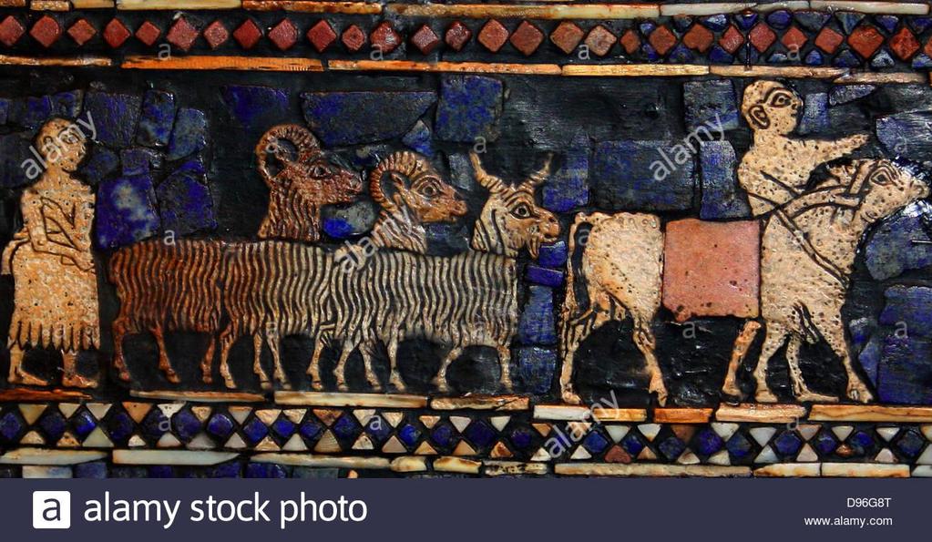 Na standartě z Uru se objevuje ovce typu racka čili ovce cápová.